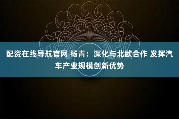 配资在线导航官网 杨青：深化与北欧合作 发挥汽车产业规模创新优势